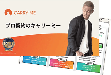 3分でわかるキャリーミー